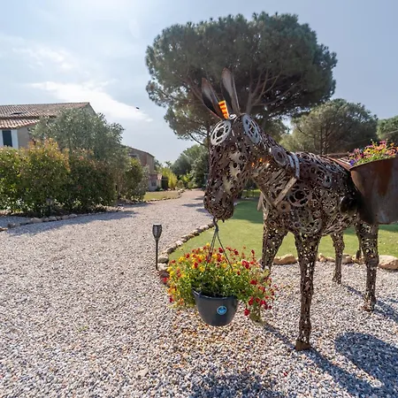 Апартаменты Gite Imagine Roussillon Privee Avec Piscine - 6 Personnes Кане